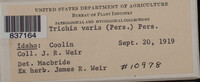 Image Associated With the Occurence